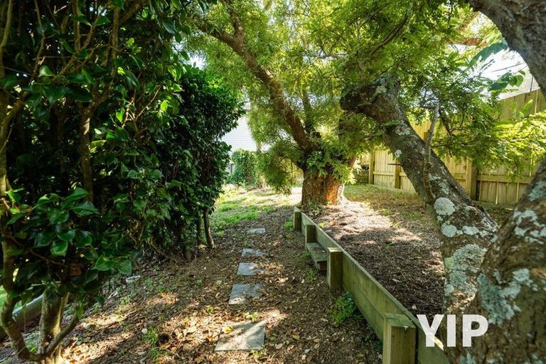 Photo of property in 77 Clifford Road, Johnsonville, Wellington, 6037