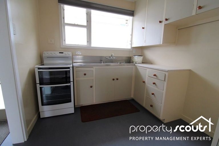Photo of property in 92e Eglinton Road, Mornington, Dunedin, 9011