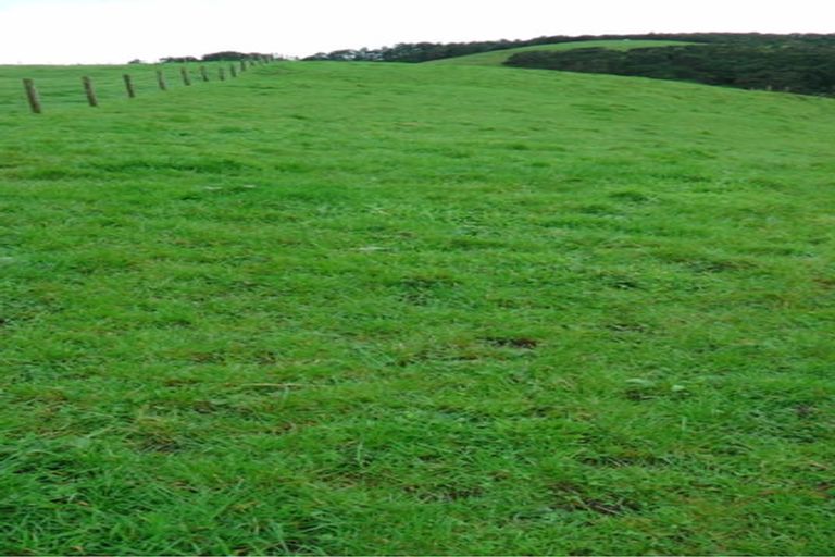 Photo of property in 103 Block Road, Hikutaia, Paeroa, 3674