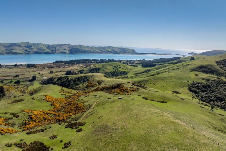 Photo of property in 452 Harington Point Road, Lower Portobello, Dunedin, 9077