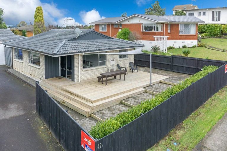 Photo of property in 42a Alison Street, Hamilton Lake, Hamilton, 3204