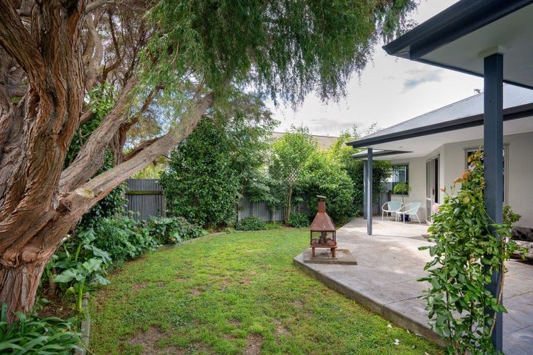 Photo of property in 117 Mcleod Street, Camberley, Hastings, 4120