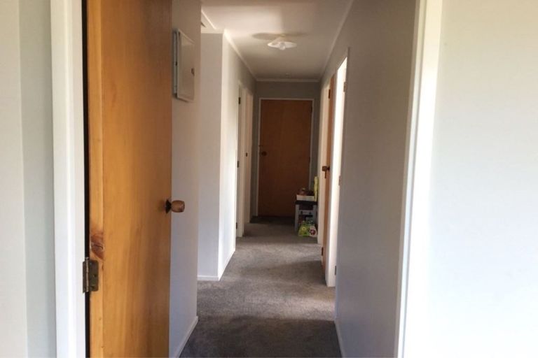 Photo of property in 141c Maungatapu Road, Maungatapu, Tauranga, 3112