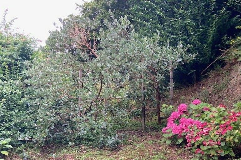 Photo of property in 39 Onslow Road, Khandallah, Wellington, 6035