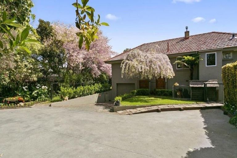 Photo of property in 201 Bridgman Road, Te Awamutu, 3800