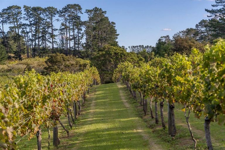 Photo of property in 583 State Highway 16, Kumeu, 0891