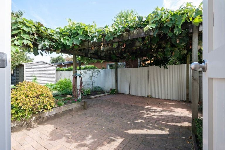 Photo of property in 31 Naylor Street, Hamilton East, Hamilton, 3216