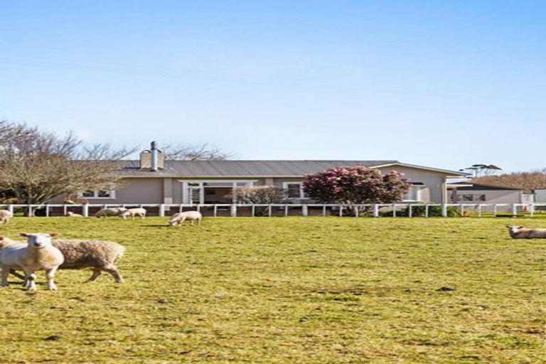 Photo of property in 19 Stanley Road, Stratford, 4394