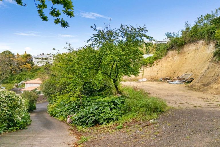 Photo of property in 13 Lucknow Terrace, Hospital Hill, Napier, 4110