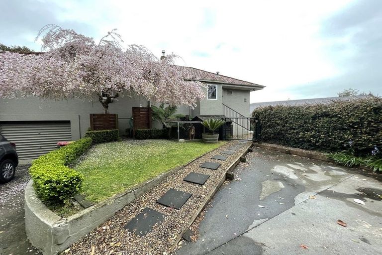 Photo of property in 201 Bridgman Road, Te Awamutu, 3800