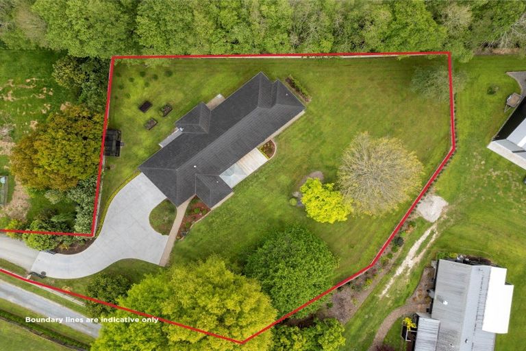 Photo of property in 29 Sheffield Street, Matamata, 3400