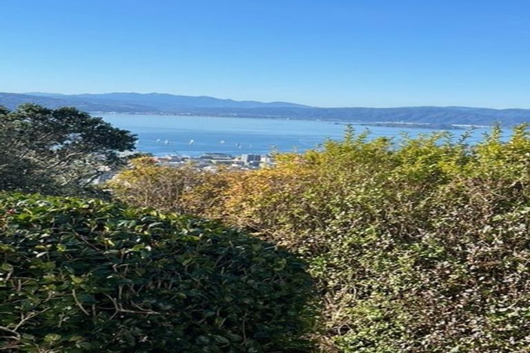 Photo of property in 45 Apuka Street, Brooklyn, Wellington, 6021