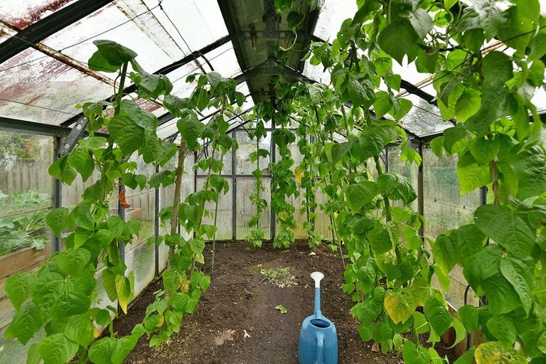 Photo of property in 12 Nelson Street, Helensville, 0800