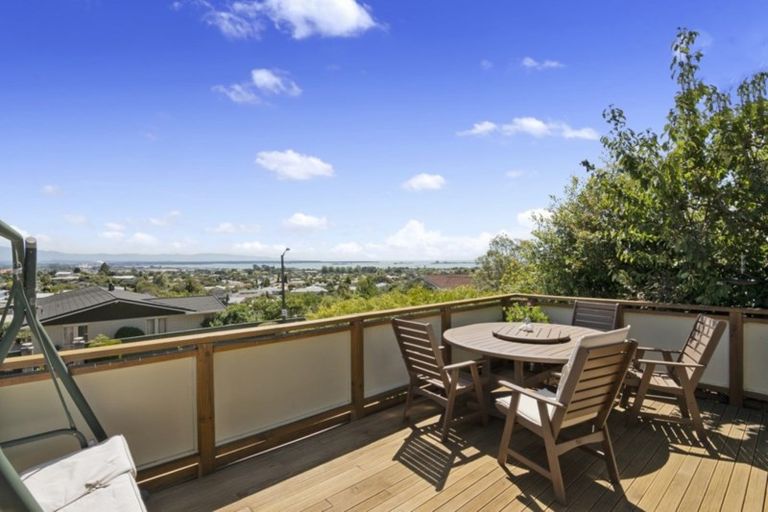 Photo of property in 45 Marlborough Crescent, Richmond, 7020