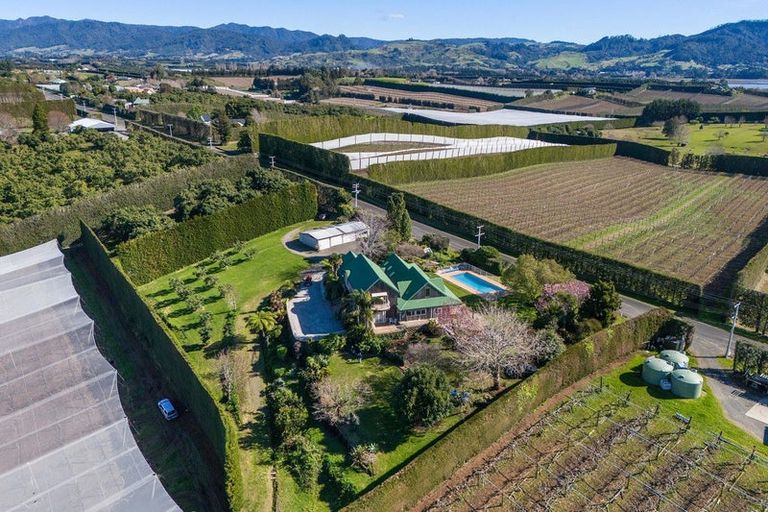Photo of property in 168 Ongare Point Road, Tahawai, Katikati, 3170