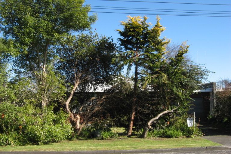 Photo of property in 24 Oxford Street, Marton, 4710