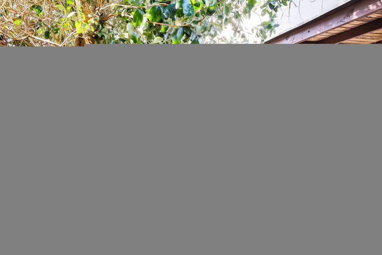 Photo of property in 21 Mary Street, Masterton, 5810