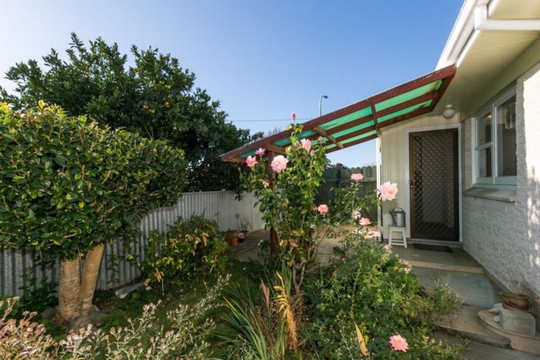 Photo of property in 1b Avon Terrace, Taradale, Napier, 4112