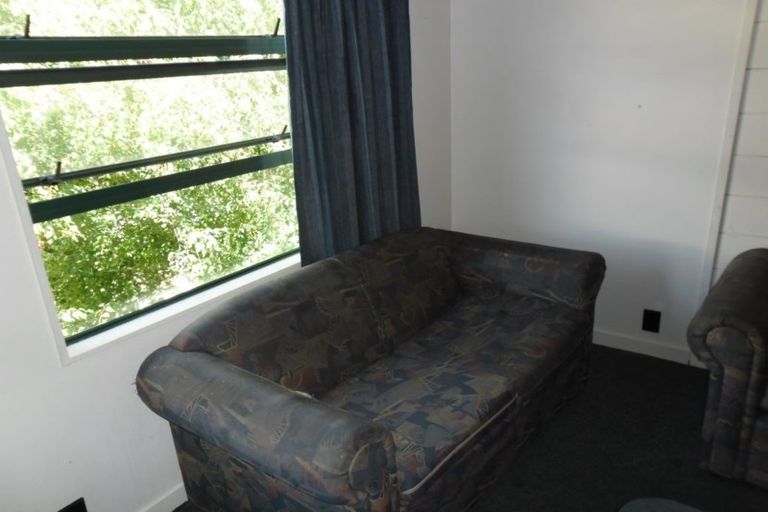 Photo of property in Te Awhina Apartments, 29/22u Sussex Street, Mount Cook, Wellington, 6021