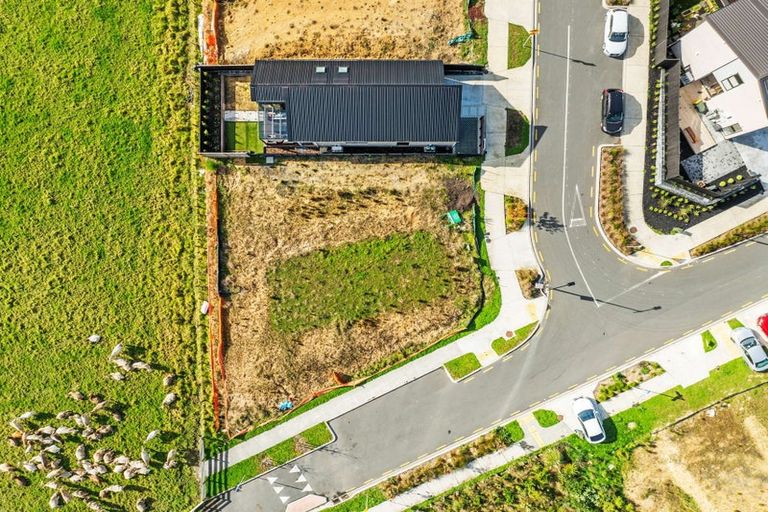 Photo of property in 6 Taniwha Place, Matarangi, 3592