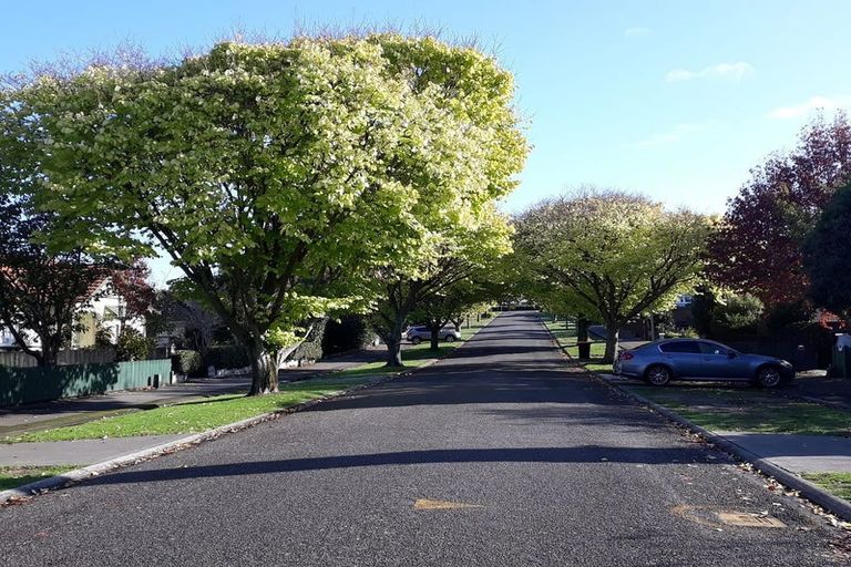 Photo of property in 22b Rainforth Street, Roslyn, Palmerston North, 4414