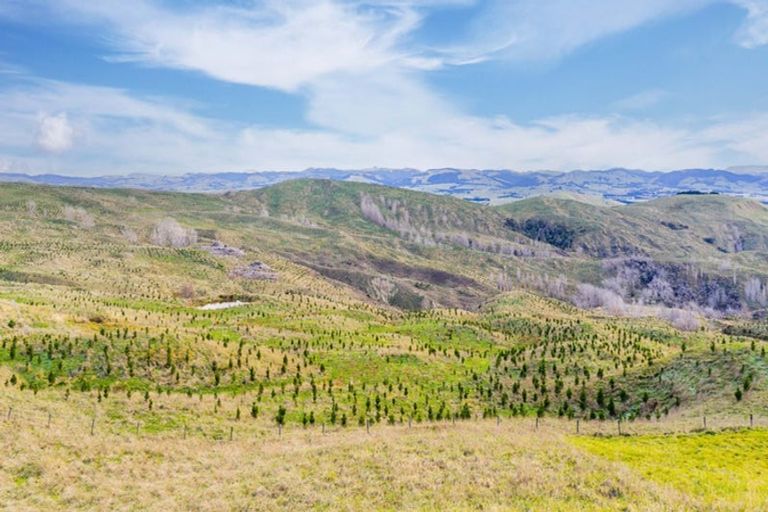 Photo of property in 638 Old Hill Road, Porangahau, 4291