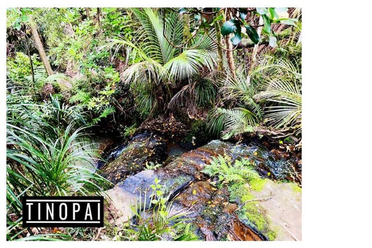 Photo of property in 1509 Tinopai Road, Tinopai, Matakohe, 0593