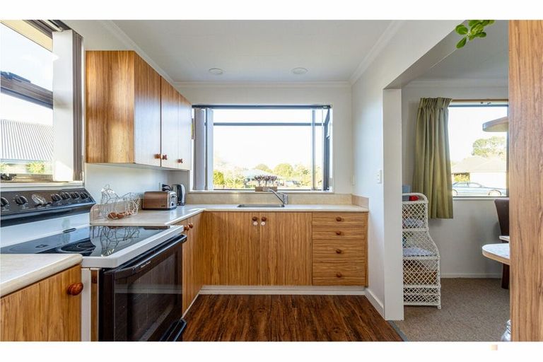 Photo of property in 11 Williamson Place, Geraldine, 7930