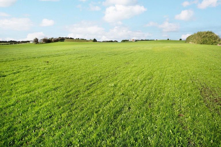 Photo of property in 142 Hutchings Road, Waiuku, 2682