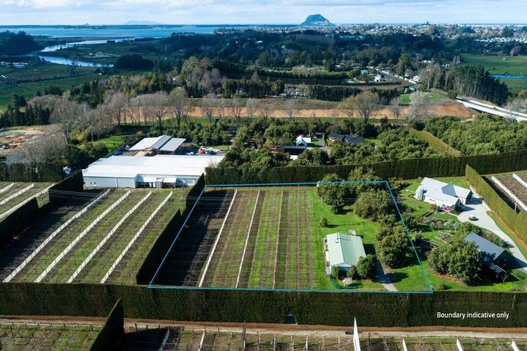 Photo of property in 154b Wairoa Road, Minden, Tauranga, 3171