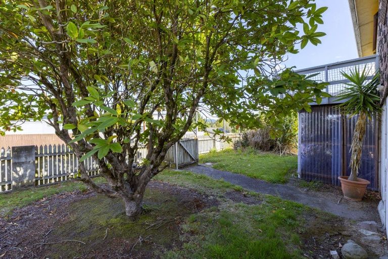 Photo of property in 21 Duncan Street, Taupo, 3330