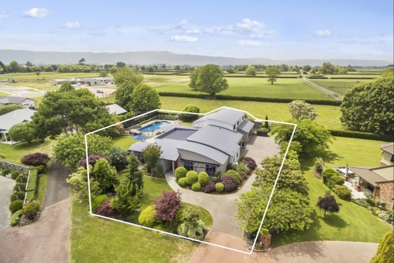 Photo of property in 10 Ascot Place, Matamata, 3400