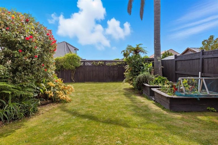 Photo of property in 195 Grange Road, Otumoetai, Tauranga, 3110