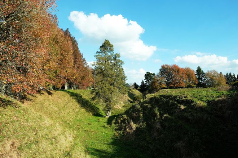 Photo of property in 64 Peacockes Lane, Peacocke, Hamilton, 3282