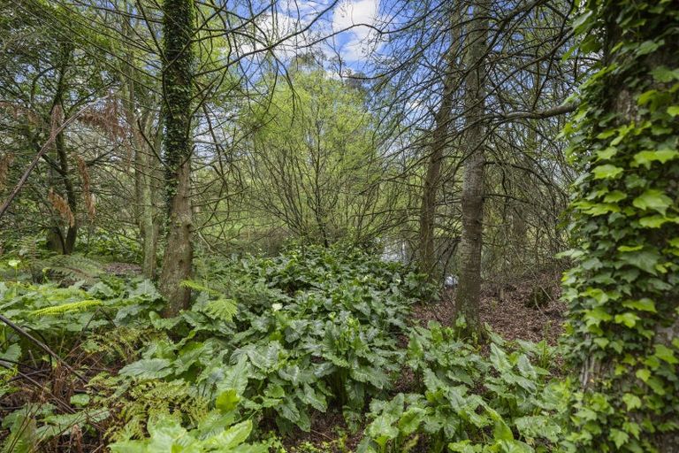 Photo of property in 4626 Ohaupo Road, Ohaupo, 3883