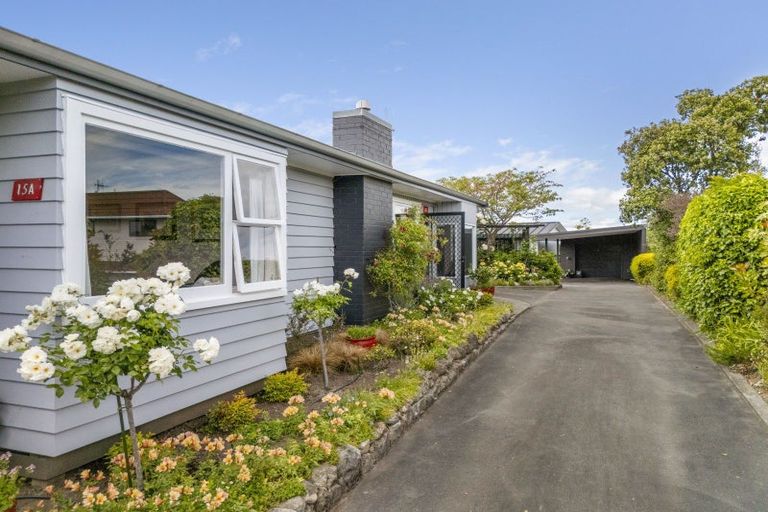 Photo of property in 15a Enfield Road, Hospital Hill, Napier, 4110