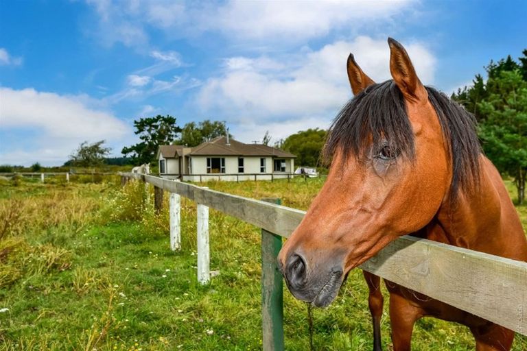 Photo of property in 335 Kainga Road, Kainga, Christchurch, 8083
