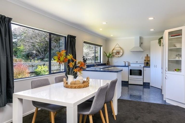 Photo of property in 55 Roto Street, Hurdon, New Plymouth, 4310