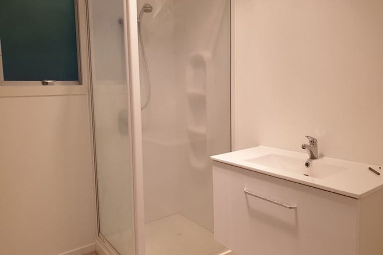 Photo of property in 106 Galloway Street, Hamilton East, Hamilton, 3216