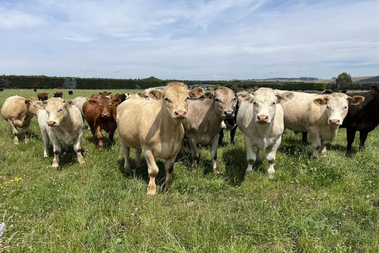 Photo of property in 174 Shortland Road, Oamaru North, Oamaru, 9494