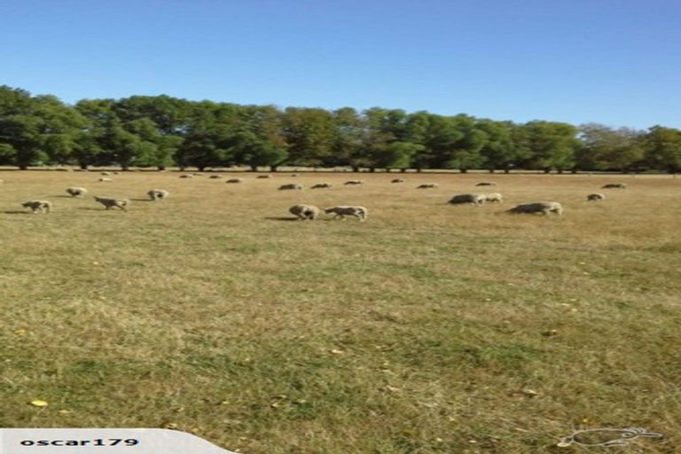 Photo of property in 145 Island Road, Kaiapoi, 7691