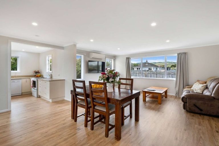 Photo of property in 113 Stanford Street North, Ashhurst, 4810