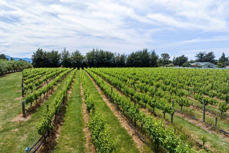 Photo of property in 686 Dillons Point Road, Dillons Point, Blenheim, 7273