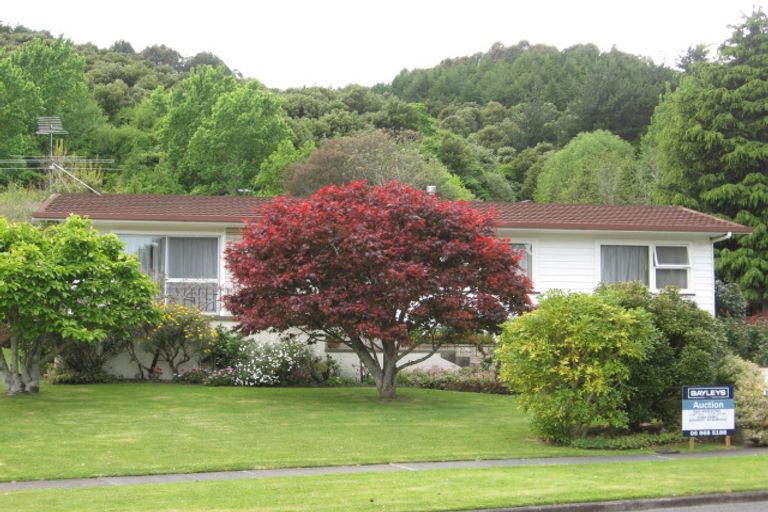 Photo of property in 53 Seddon Crescent, Whataupoko, Gisborne, 4010