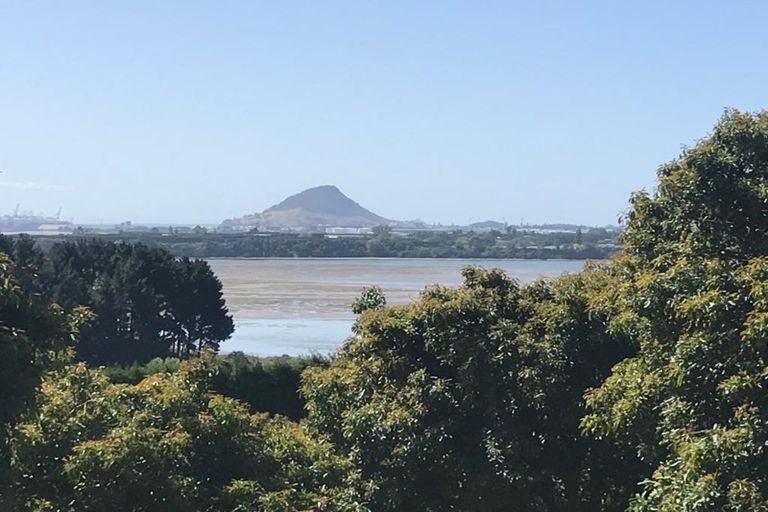 Photo of property in 1ra Ngapeke Road, Welcome Bay, Tauranga, 3175