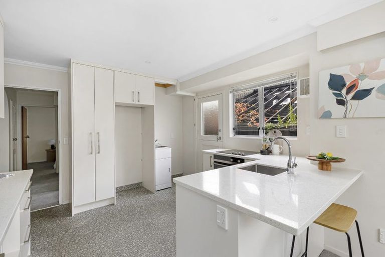 Photo of property in 20a Marina Grove, Hutt Central, Lower Hutt, 5010