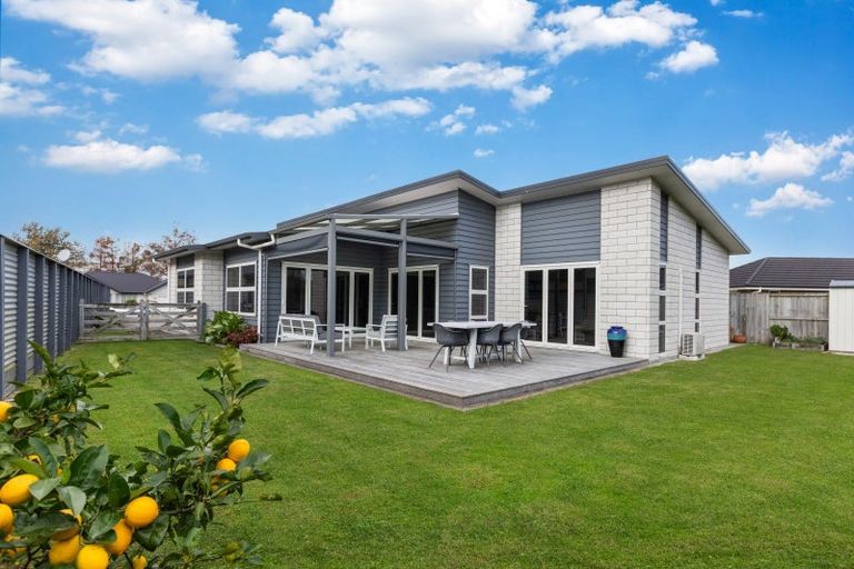 Photo of property in 49 Ritchie Street, Te Aroha, 3320