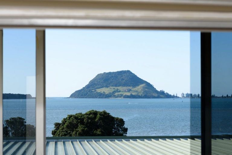 Photo of property in 163 Ngatai Road, Otumoetai, Tauranga, 3110