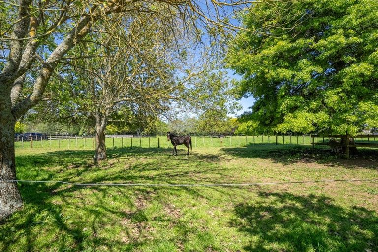 Photo of property in 446 Mystery Creek Road, Ohaupo, 3881