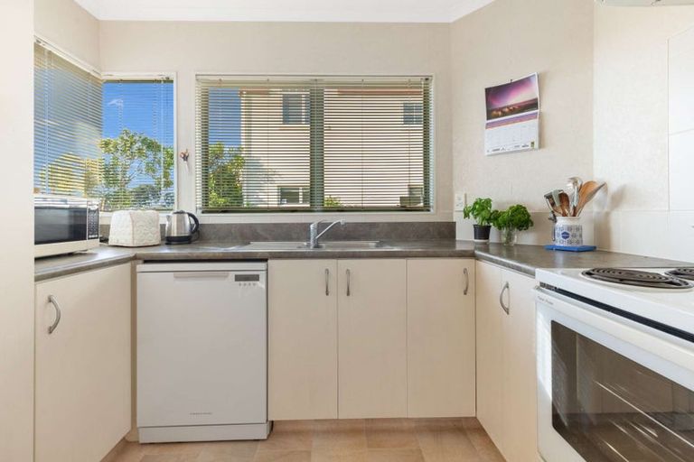 Photo of property in 16a Wickham Place, Hairini, Tauranga, 3112